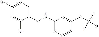 N-[(2,4-dichlorophenyl)methyl]-3-(trifluoromethoxy)aniline 结构式