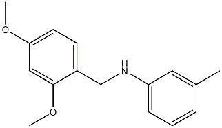 N-[(2,4-dimethoxyphenyl)methyl]-3-methylaniline 结构式