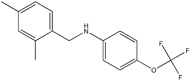 N-[(2,4-dimethylphenyl)methyl]-4-(trifluoromethoxy)aniline 结构式