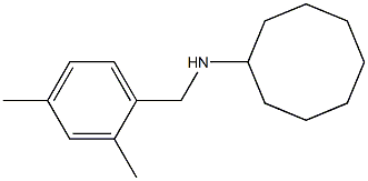 N-[(2,4-dimethylphenyl)methyl]cyclooctanamine 结构式