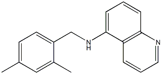 N-[(2,4-dimethylphenyl)methyl]quinolin-5-amine 结构式