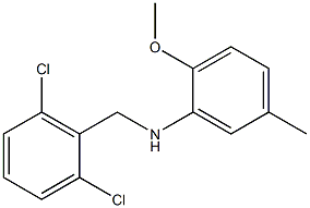N-[(2,6-dichlorophenyl)methyl]-2-methoxy-5-methylaniline 结构式
