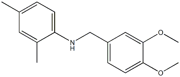 N-[(3,4-dimethoxyphenyl)methyl]-2,4-dimethylaniline 结构式