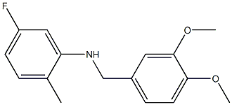 N-[(3,4-dimethoxyphenyl)methyl]-5-fluoro-2-methylaniline 结构式