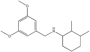 N-[(3,5-dimethoxyphenyl)methyl]-2,3-dimethylcyclohexan-1-amine 结构式