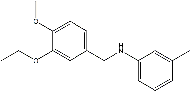 N-[(3-ethoxy-4-methoxyphenyl)methyl]-3-methylaniline 结构式