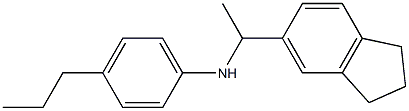 N-[1-(2,3-dihydro-1H-inden-5-yl)ethyl]-4-propylaniline 结构式