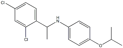 N-[1-(2,4-dichlorophenyl)ethyl]-4-(propan-2-yloxy)aniline 结构式