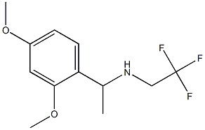 N-[1-(2,4-dimethoxyphenyl)ethyl]-N-(2,2,2-trifluoroethyl)amine 结构式