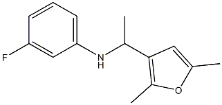 N-[1-(2,5-dimethylfuran-3-yl)ethyl]-3-fluoroaniline 结构式