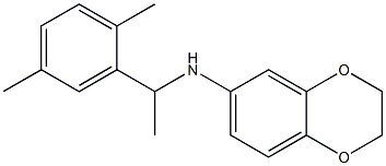 N-[1-(2,5-dimethylphenyl)ethyl]-2,3-dihydro-1,4-benzodioxin-6-amine 结构式