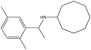 N-[1-(2,5-dimethylphenyl)ethyl]cyclooctanamine 结构式