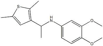 N-[1-(2,5-dimethylthiophen-3-yl)ethyl]-3,4-dimethoxyaniline 结构式