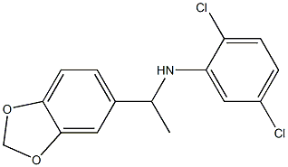 N-[1-(2H-1,3-benzodioxol-5-yl)ethyl]-2,5-dichloroaniline 结构式