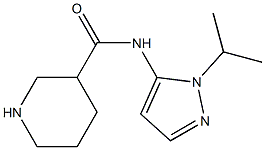 N-[1-(propan-2-yl)-1H-pyrazol-5-yl]piperidine-3-carboxamide 结构式