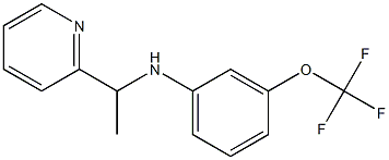 N-[1-(pyridin-2-yl)ethyl]-3-(trifluoromethoxy)aniline 结构式