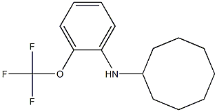 N-[2-(trifluoromethoxy)phenyl]cyclooctanamine 结构式