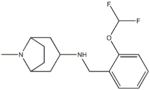 N-{[2-(difluoromethoxy)phenyl]methyl}-8-methyl-8-azabicyclo[3.2.1]octan-3-amine 结构式