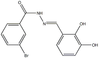 3-bromo-N'-[(E)-(2,3-dihydroxyphenyl)methylidene]benzohydrazide 结构式