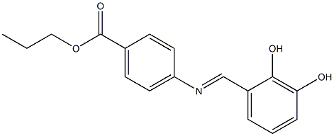 propyl 4-{[(E)-(2,3-dihydroxyphenyl)methylidene]amino}benzoate 结构式