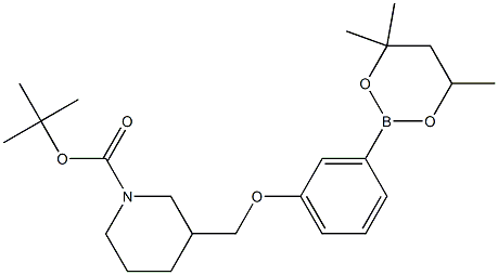 tert-Butyl 3{[3-(4,4,6-trimethyl-1,3,2-dioxaborinan-2-yl)phenoxy]methyl}piperidine-1-carboxylate 结构式