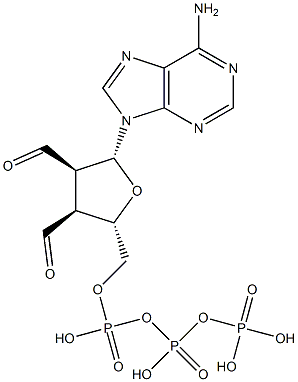 2',3'-Diformyl-2',3'-dideoxyadenosine 5'-triphosphoric acid 结构式