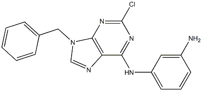 9-Benzyl-2-chloro-6-(3-aminophenylamino)-9H-purine 结构式