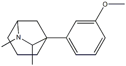 6,7-Dimethyl-1-(3-methoxyphenyl)-6-azabicyclo[3.2.1]octane 结构式