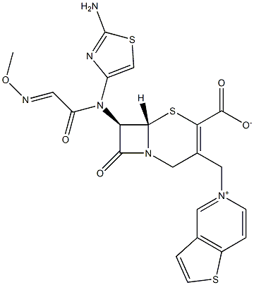 (7R)-7-[(2-Amino-4-thiazolyl)(methoxyimino)acetylamino]-3-[[(thieno[3,2-c]pyridin-5-ium)-5-yl]methyl]cepham-3-ene-4-carboxylic acid 结构式