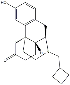 17-Cyclobutylmethyl-3-hydroxymorphinan-6-one 结构式