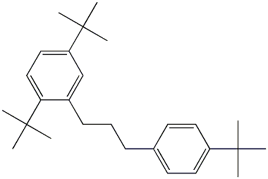 1-(2,5-Di-tert-butylphenyl)-3-(4-tert-butylphenyl)propane 结构式