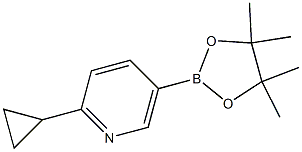 2-环丙基-5-吡啶硼酸酯 结构式