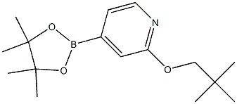 4-(4,4,5,5-tetramethyl-1,3,2-dioxaborolan-2-yl)-2-(neopentyloxy)pyridine 结构式