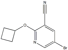 5-bromo-2-cyclobutoxypyridine-3-carbonitrile 结构式