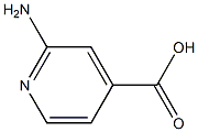 2-氨基吡啶-4-甲酸 结构式