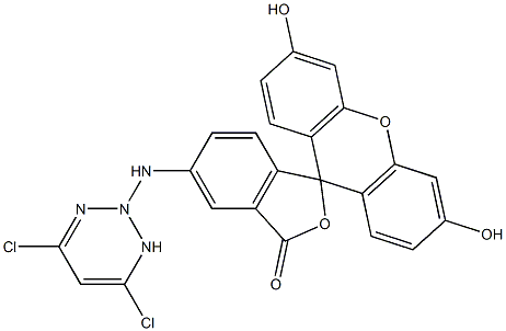 5-((4,6-dichlorotriazin-2-yl)amino)fluorescein 结构式