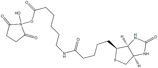 N-hydroxysuccinimidyl 6-biotinylaminohexanoate 结构式