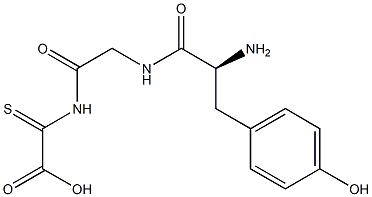thiotyrosyl-glycyl-glycine 结构式