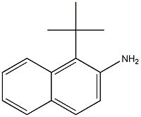 1-TERT-BUTYL-2-AMINONAPHTHALENE 结构式