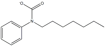 PHENYLHEPTYLCARBAMATE 结构式