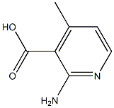 2-Amino-4-methylpyridine-3-carboxylic acid 结构式