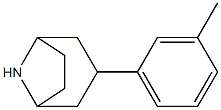 3-(3-methylphenyl)-8-azabicyclo[3.2.1]octane 结构式