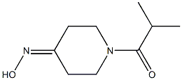 1-ISOBUTYRYLPIPERIDIN-4-ONE OXIME 结构式