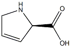 (R)-2,5-dihydro-1H-pyrrole-2-carboxylic acid 结构式