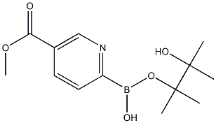 5-(METHOXYCARBONYL)PYRIDINE-2-BORONIC ACID PINACOL ESTER 结构式