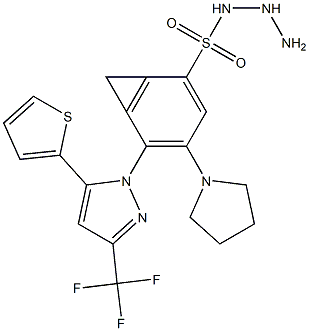 N1-hydrazino(tetrahydro-1H-pyrrol-1-yl)methylidene-4-[5-(2-thienyl)-3-(trifluoromethyl)-1H-pyrazol-1-yl]benzene-1-sulfonamide 结构式