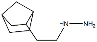 1-(2-(bicyclo[2.2.1]heptan-2-yl)ethyl)hydrazine 结构式