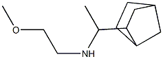 (1-{bicyclo[2.2.1]heptan-2-yl}ethyl)(2-methoxyethyl)amine 结构式