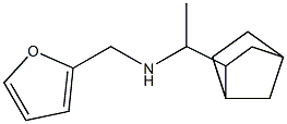 (1-{bicyclo[2.2.1]heptan-2-yl}ethyl)(furan-2-ylmethyl)amine 结构式