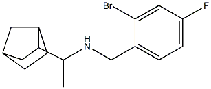 (1-{bicyclo[2.2.1]heptan-2-yl}ethyl)[(2-bromo-4-fluorophenyl)methyl]amine 结构式